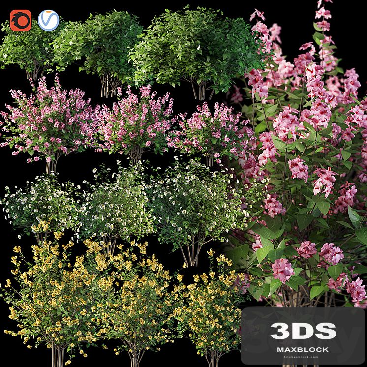 Set flowering shrubs 4