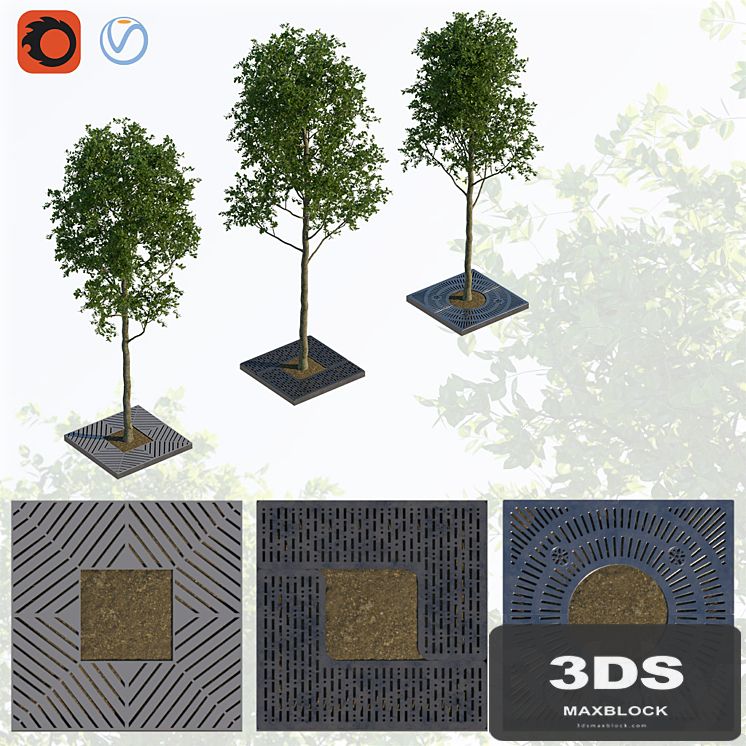 Trees and lattice