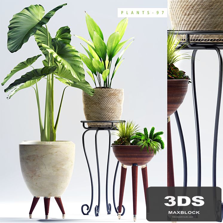 PLANTS 97
