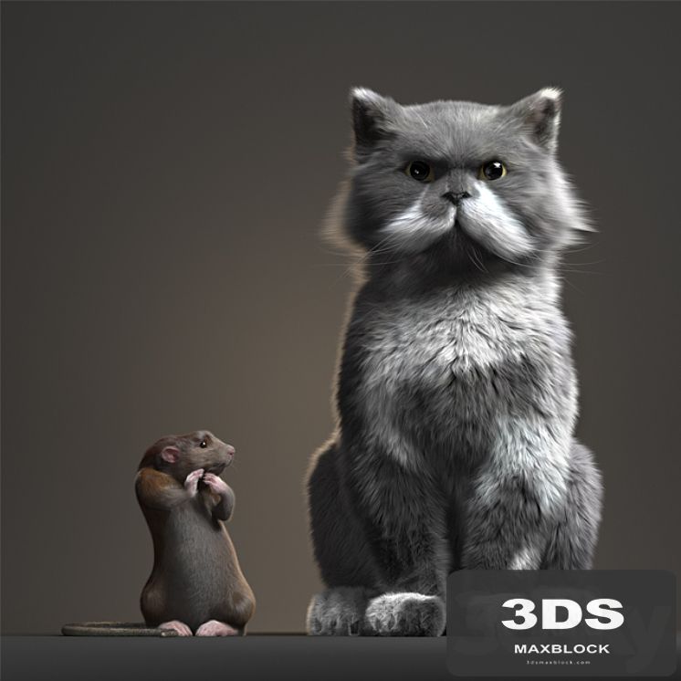 Rat and Cat