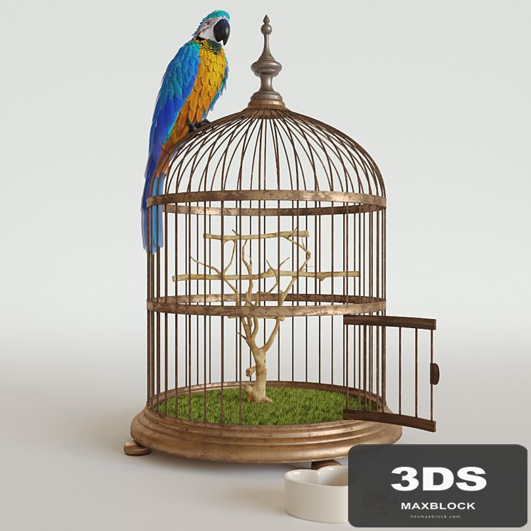 Parrot Ara