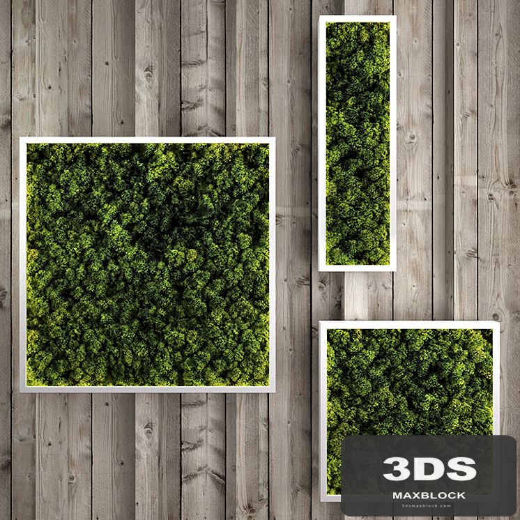 Moss modules