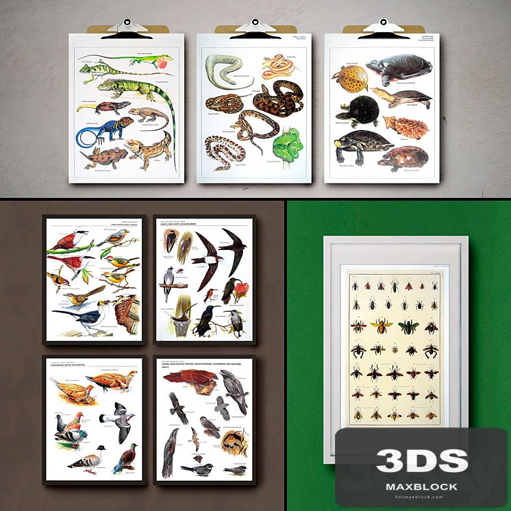 Botanical Vintage Book Pages. 24 Prints (set 3)