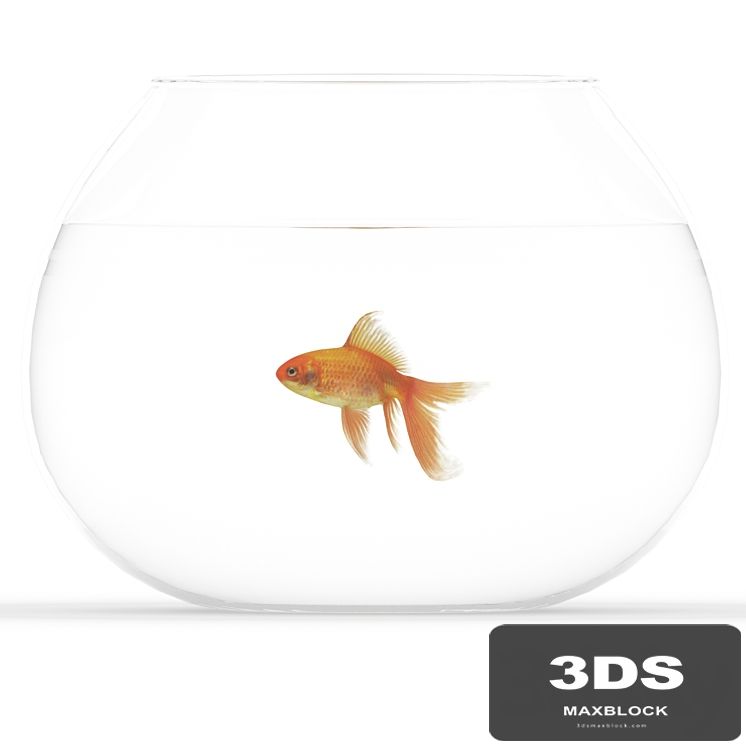 Golden fish
