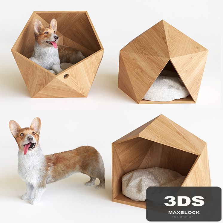 Corgi
