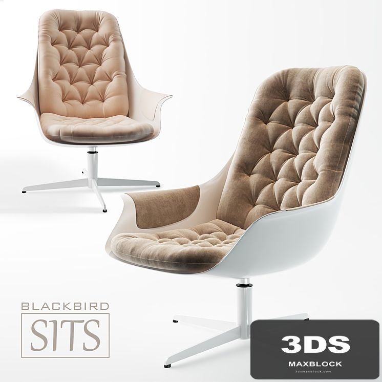 Armchair SITS BLACKBIRD