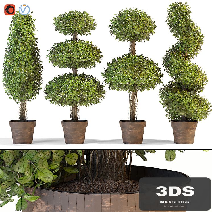 Set of decorative trees