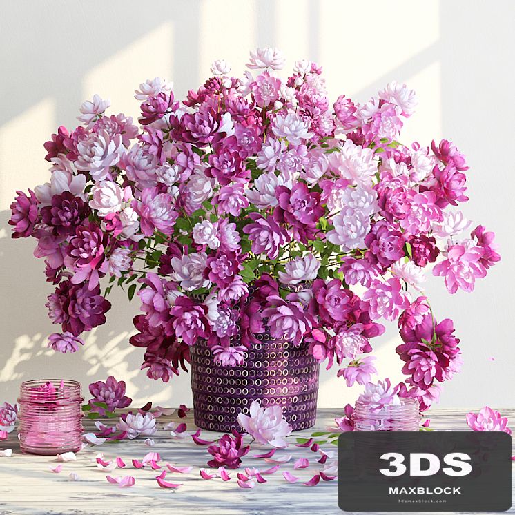 miniature roses