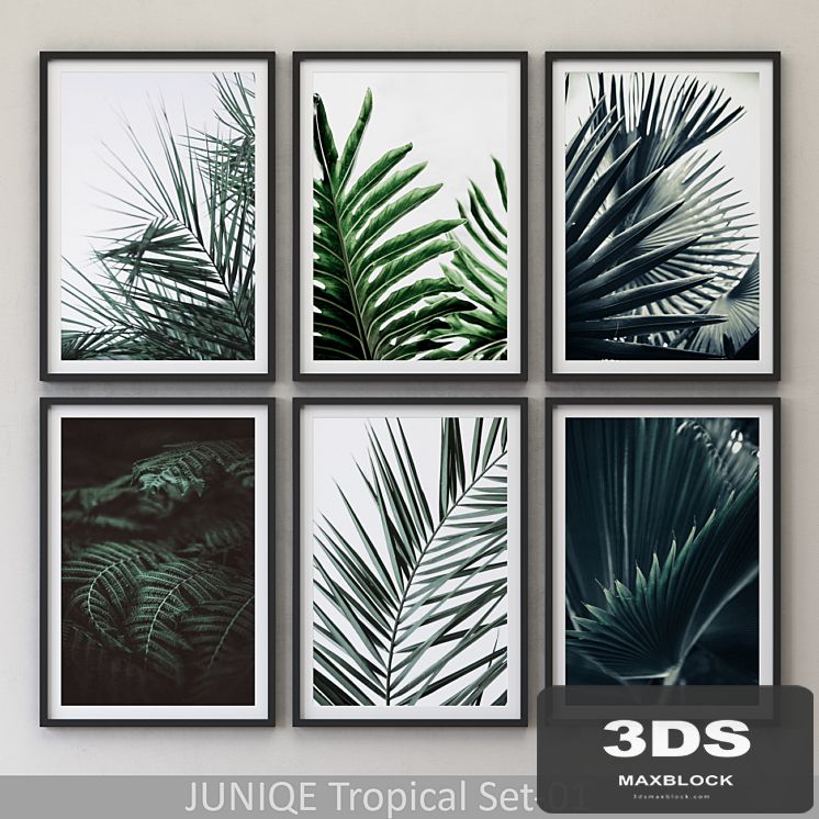 Tropical Set-01 Framed