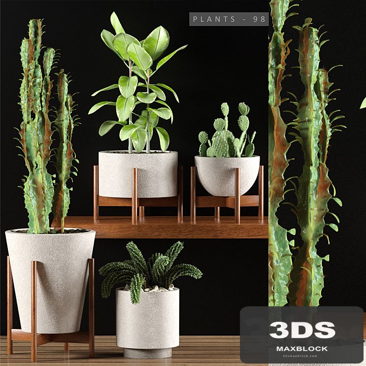 PLANTS 98