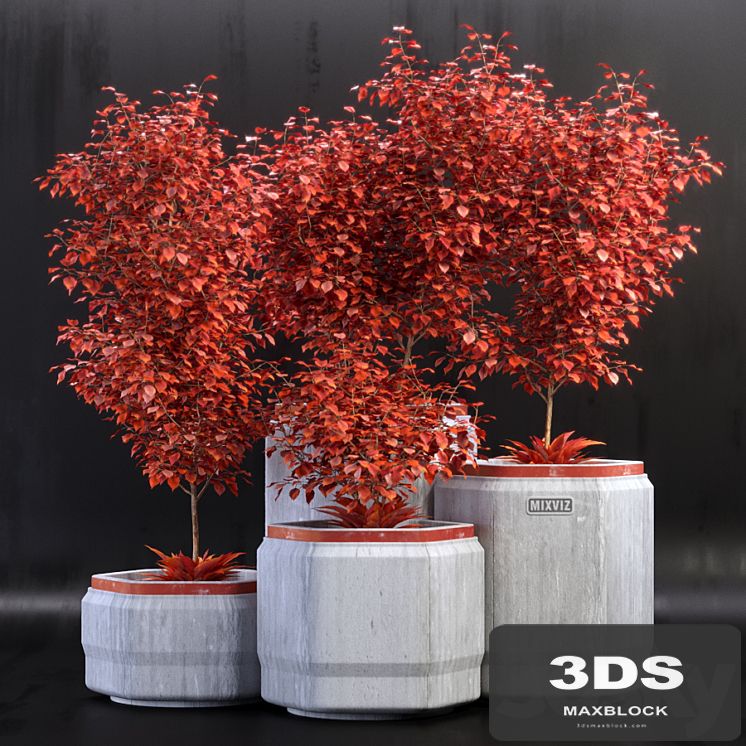 Plants_01