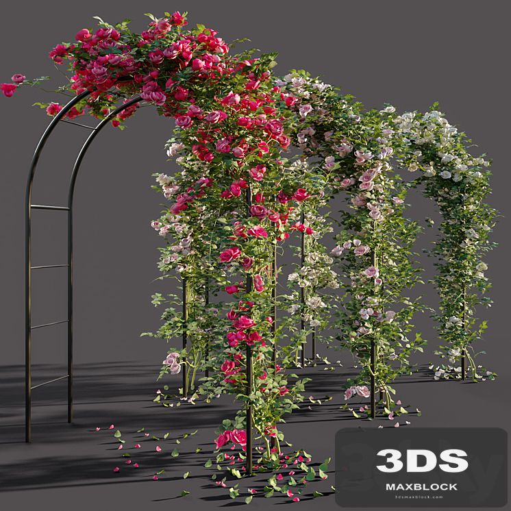 Arch with roses