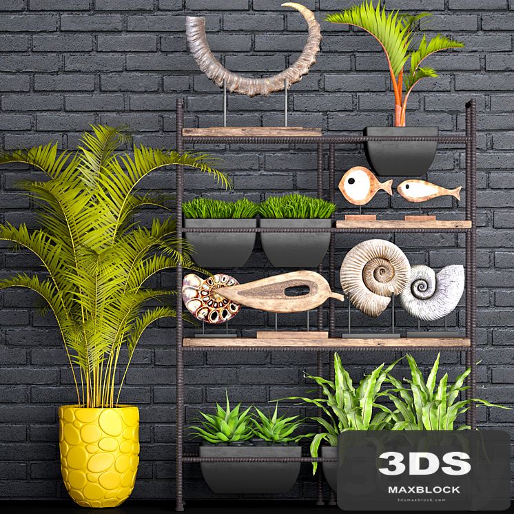 Decorative set. 1. Black brickwork, tusk, horn, palm tree, ammonite, figurine, assplenium, loft, shelf with decor, rack
