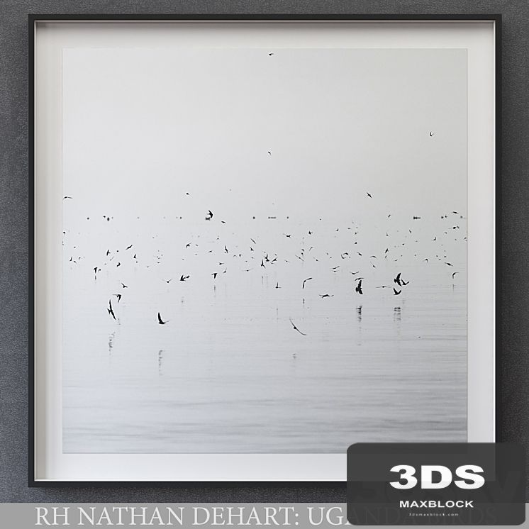 NATHAN DEHART UGANDA BIRDS
