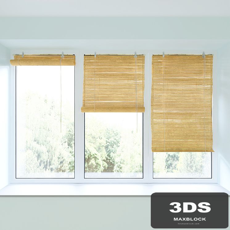 Bamboo roll blind and plastic window