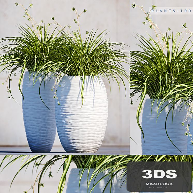 Plants 100