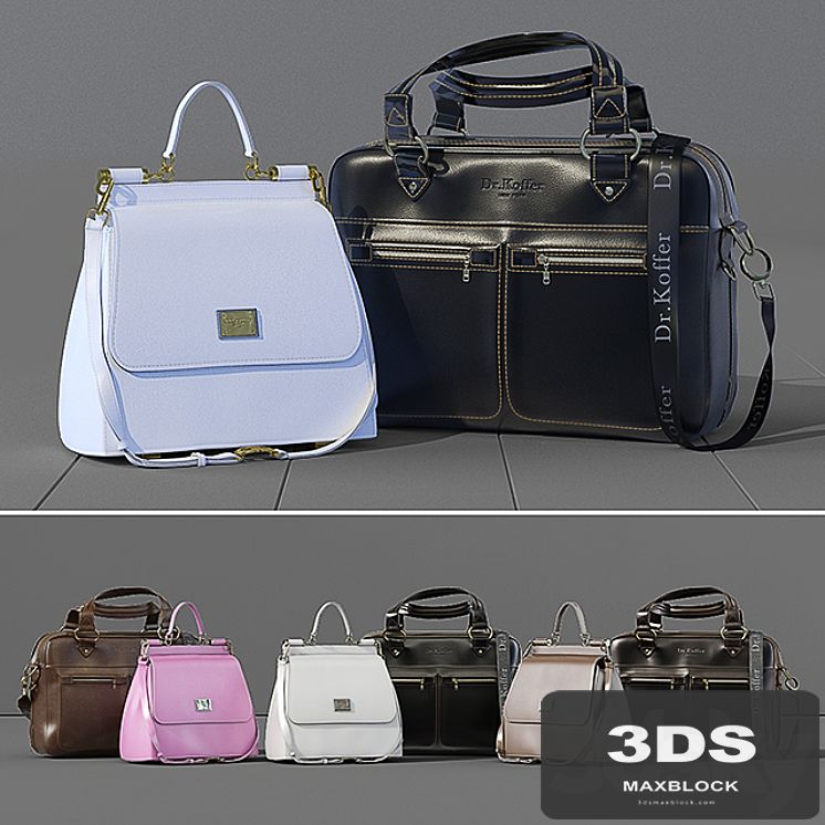 Business leather bag Dr.Koffer + women's bag Dolce Gabbana