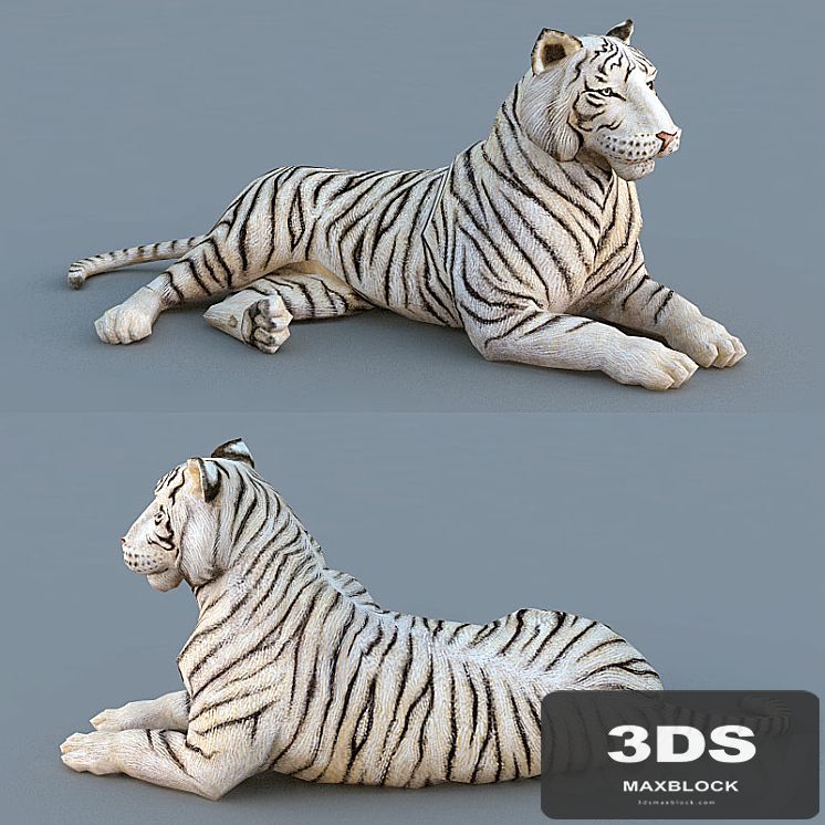 White Tiger