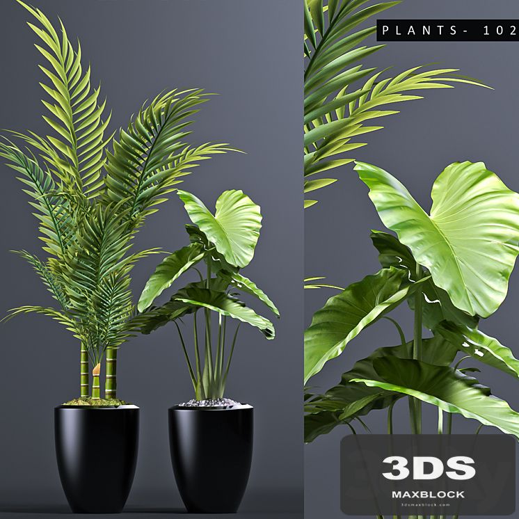 PLANTS 102
