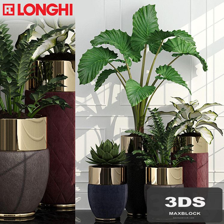 Longhi Godwin
