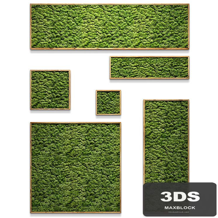 Framed moss