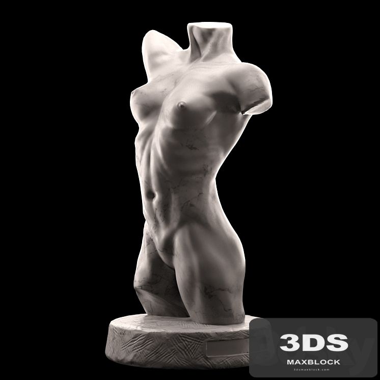 Female torso