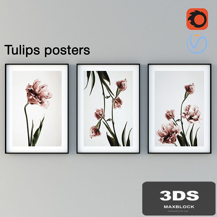 Tulips Posters