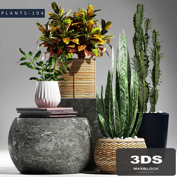 PLANTS 104