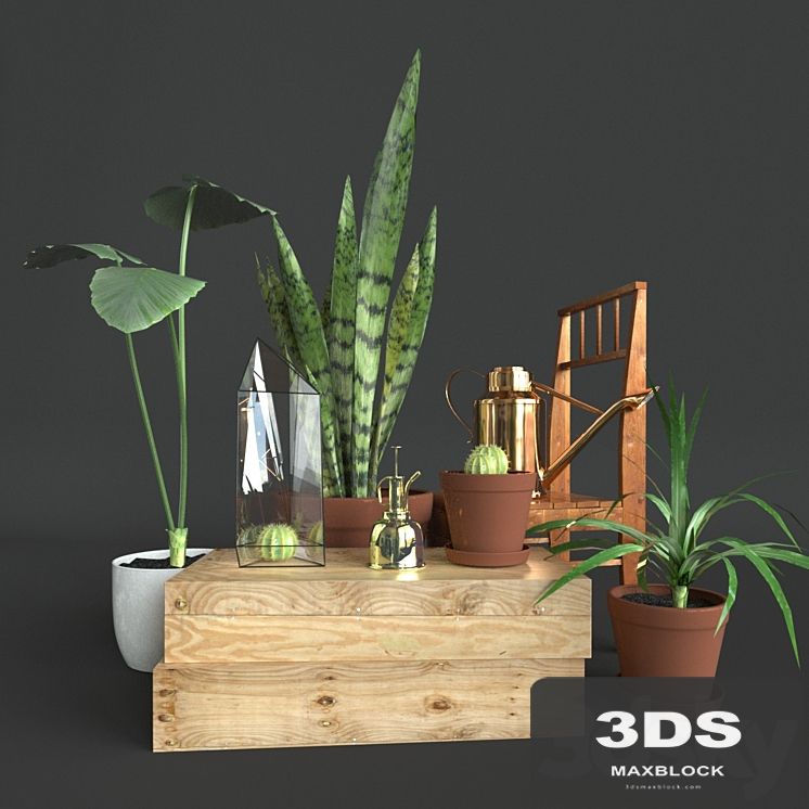 Set of decor with flowers