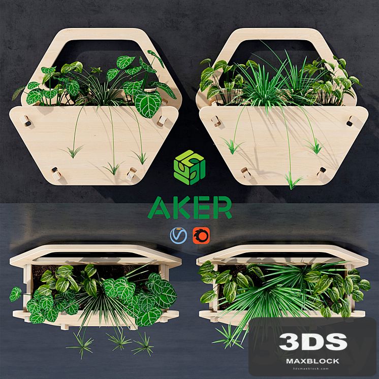 Hexagon wall planter