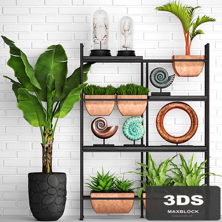 Decorative set. 2. banana palm, aspelinium, decorative shelf, ammonite, figurine, copper decor, crayfish, crab, white brick wall