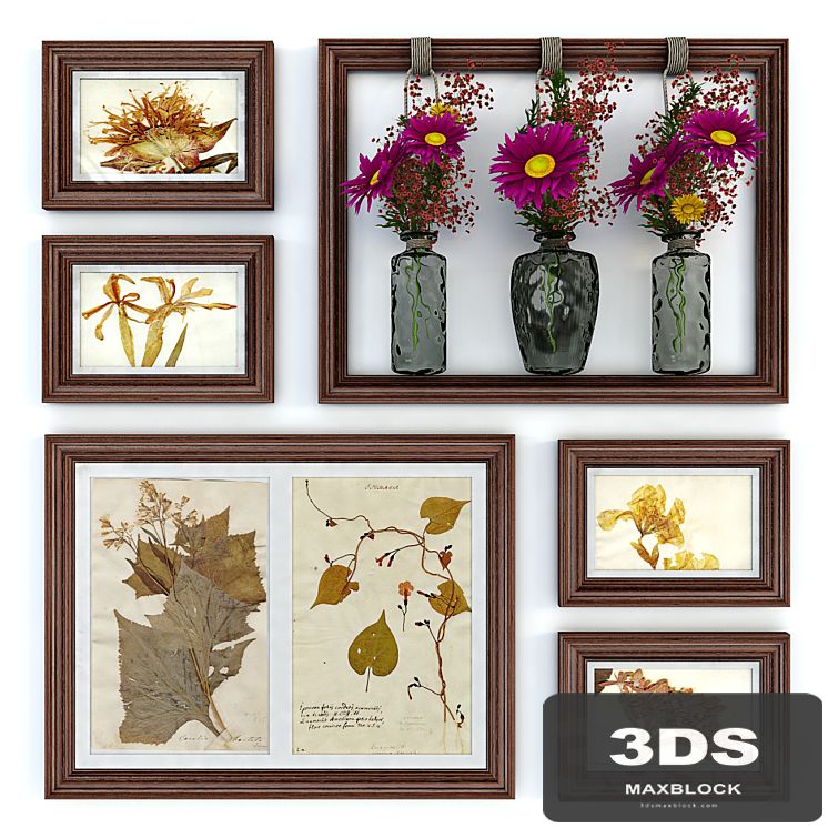Decorative set with herbaria