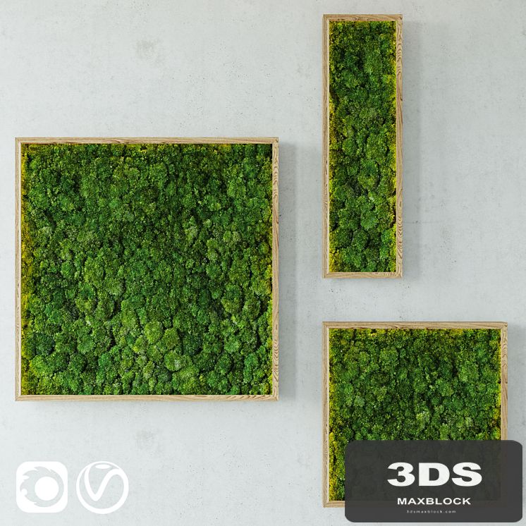 Moss modules 2