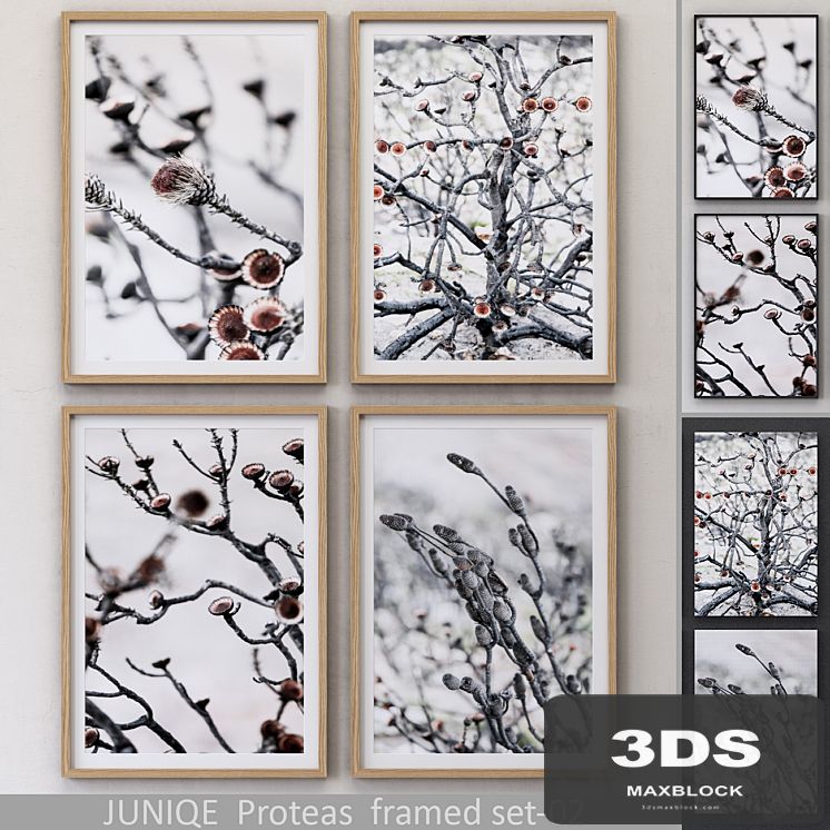Proteas framed set-02