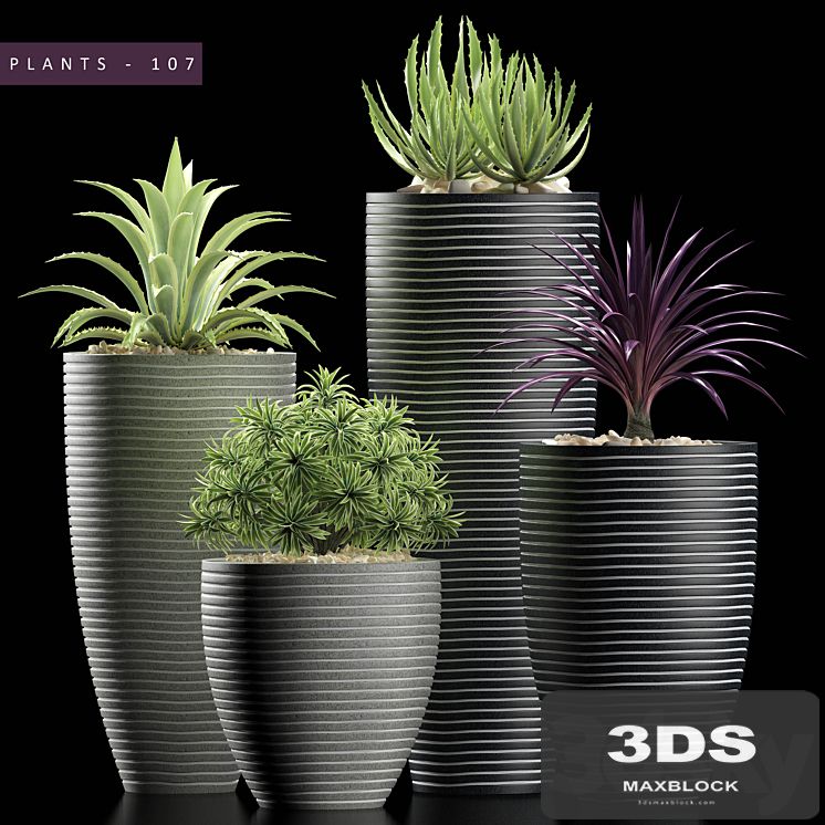 PLANTS 106