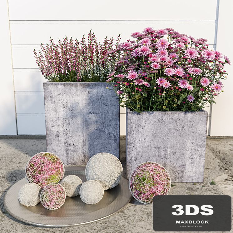 Street flowers