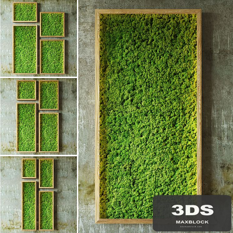 Moss walls