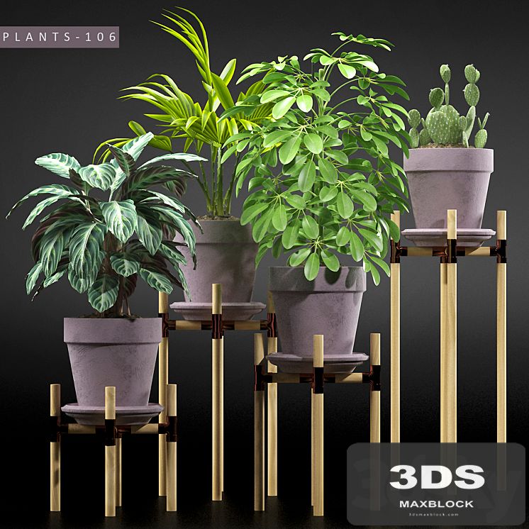 PLANTS 106