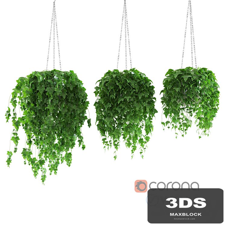 Ivy in the pot on the chain v3