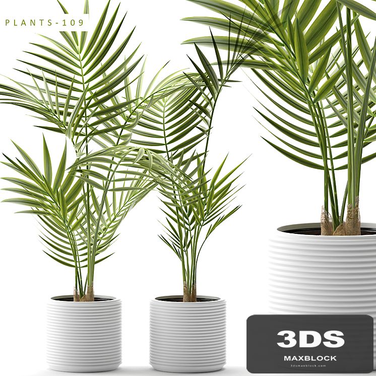 Plants 109