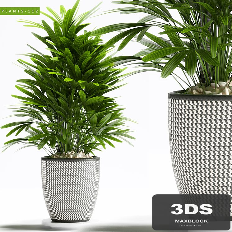 PLANTS 112