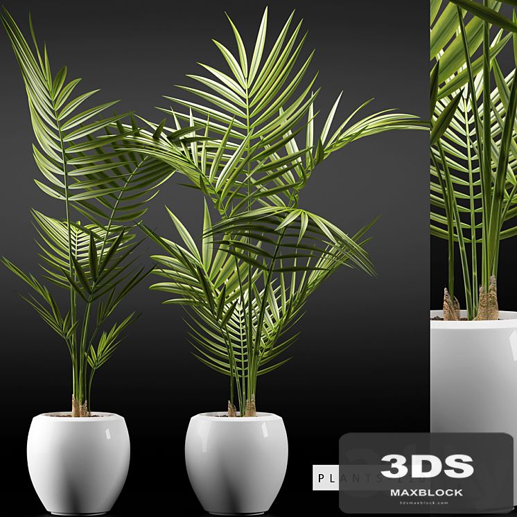 PLANTS 110