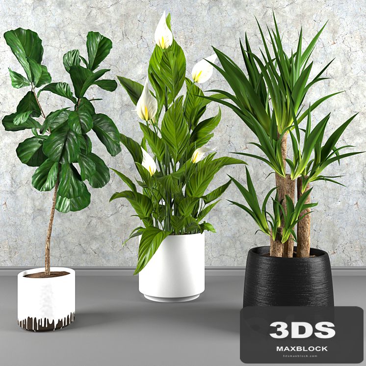 Contemporary houseplant set 3