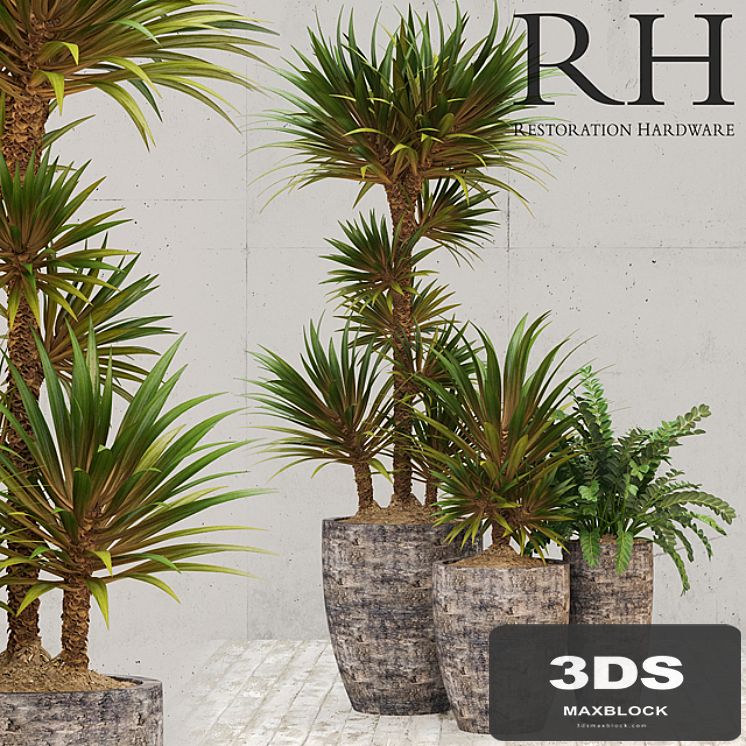 Restoration Hardware corso planter