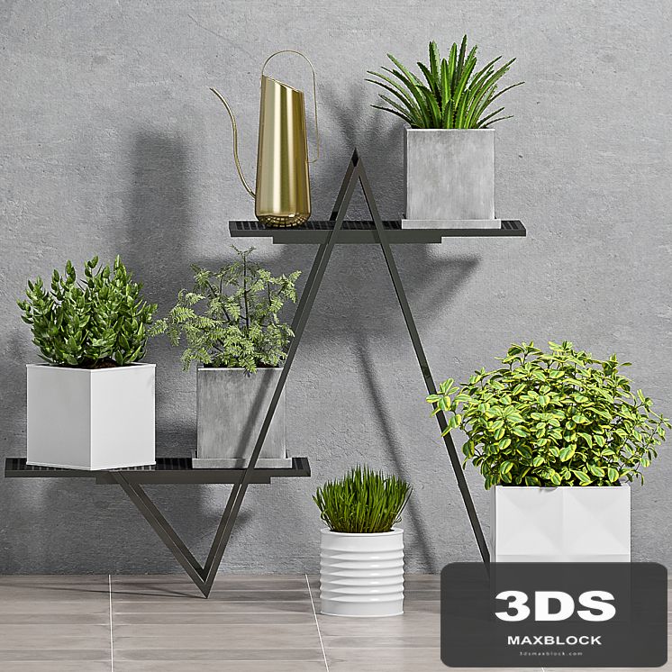 PLANT SET - 76