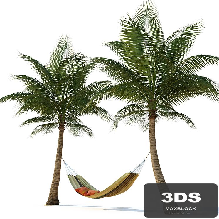 Hammock on palm trees