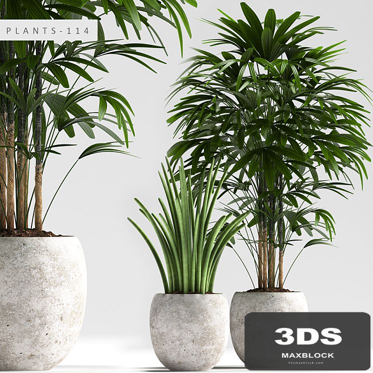 PLANTS 114