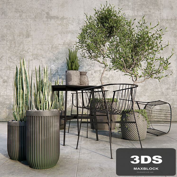 Outdoor_plant_set