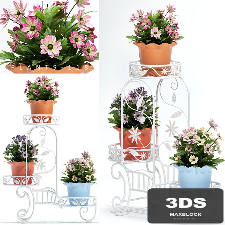 Plants 118