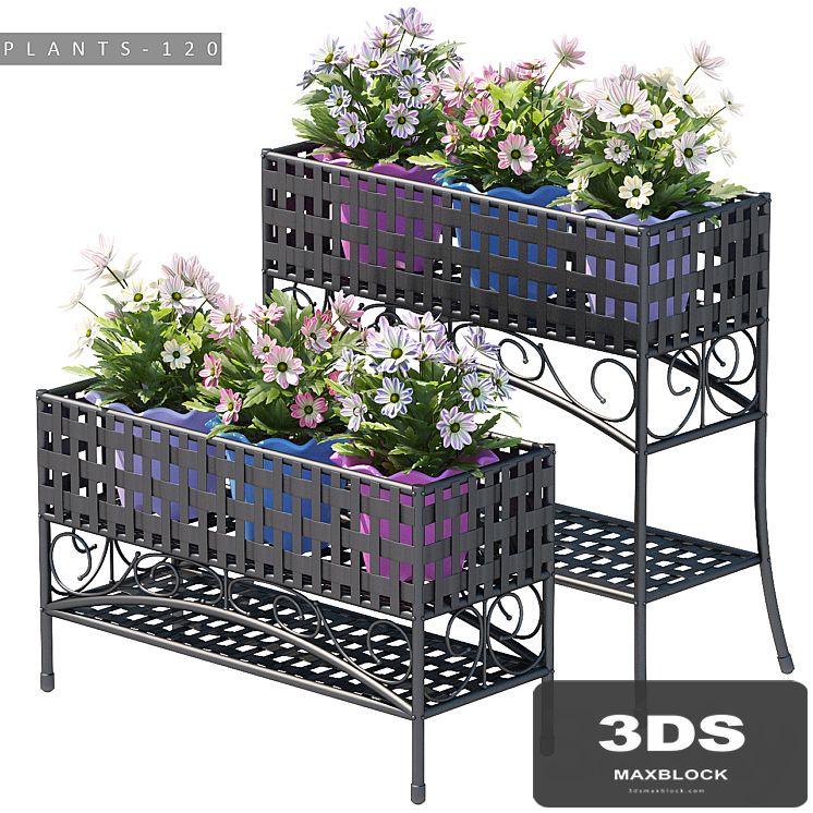 PLANTS 120